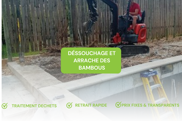 Location benne avec déssouchage et arrachage de racine de bambou autour d'une piscine avec mini pelle à Manosque proche d'Aix en Provence et Salon de Provence