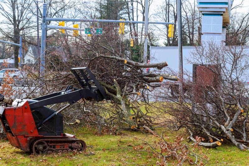 Louer une benne déchets verts pour jardier et paysagiste à Marseille - Devis gratuit